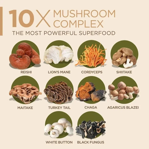 Adaptogen 10x mushroom blend powder including reishi, lion’s mane, chaga, and other varieties for health.