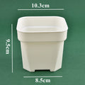 White square flower pot planter for succulents, 9.5cm tall, 8.5cm wide