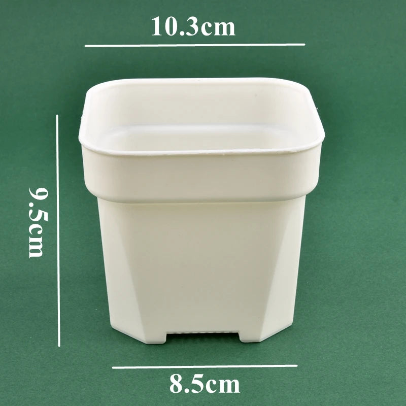 White square flower pot planter for succulents, 9.5cm tall, 8.5cm wide