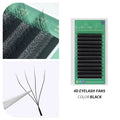 Black 4D premade eyelash extension fans arranged on a tray for professional lash application.