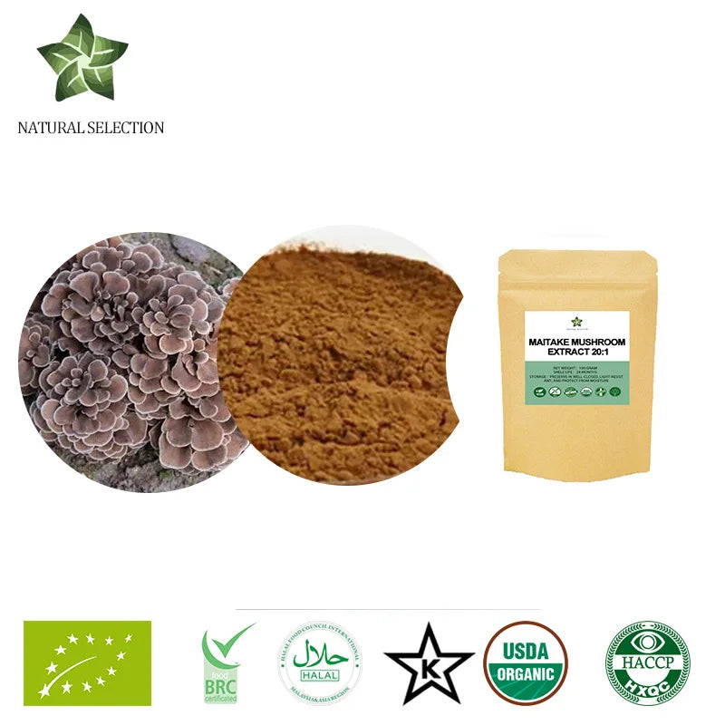 100-1000g Pure Organic Maitake Mushroom,Grifola frondosa E-x-t-ract 20:1