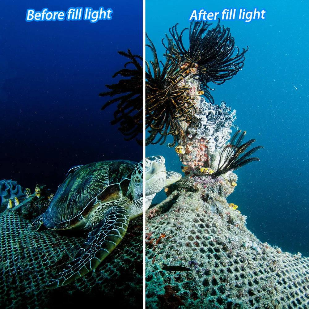 Comparison of an underwater scene featuring a sea turtle before and after using a fill light to enhance visibility.