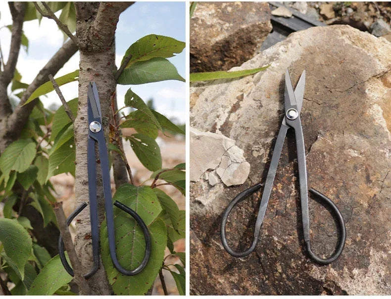 Bonsai pruning scissors with long blades and black loop handles on branches and rocks