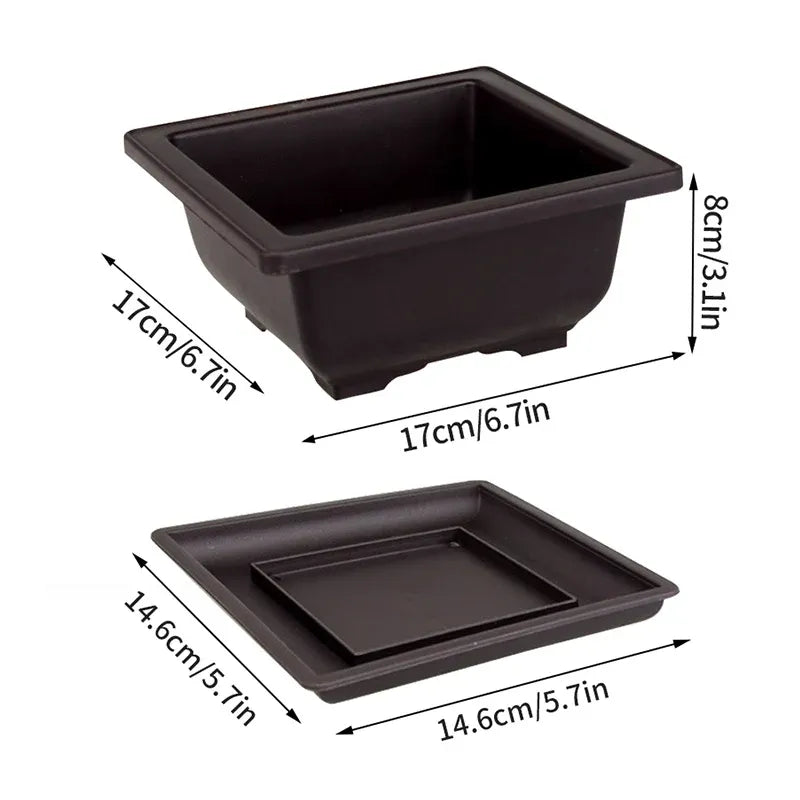 Square black planter pot for succulents and bonsai, with matching drip tray