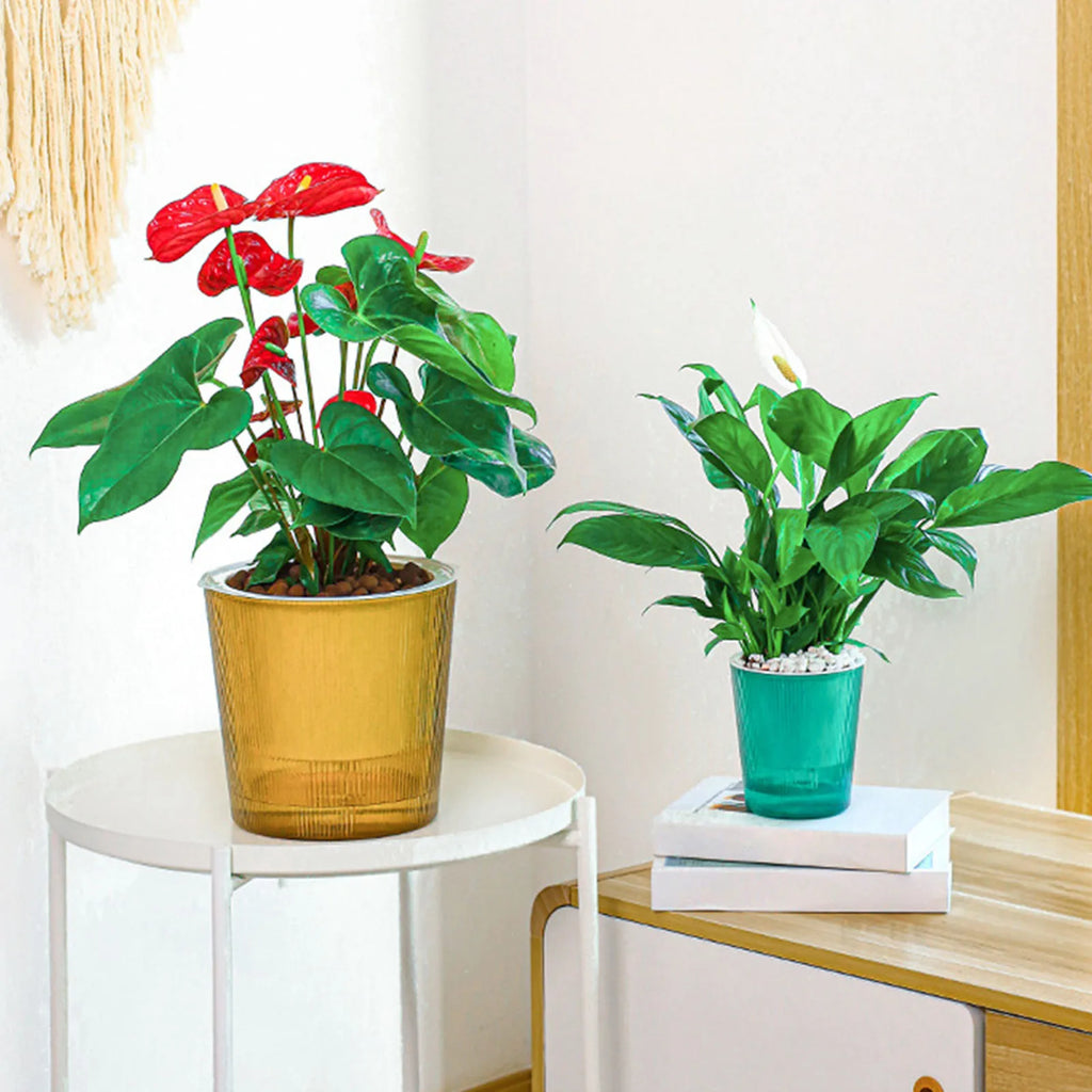Clear Self Watering Planters Pots Household Anti Rot Self-Watering Planters for Living Room Plants Flowers Gardening Accessory