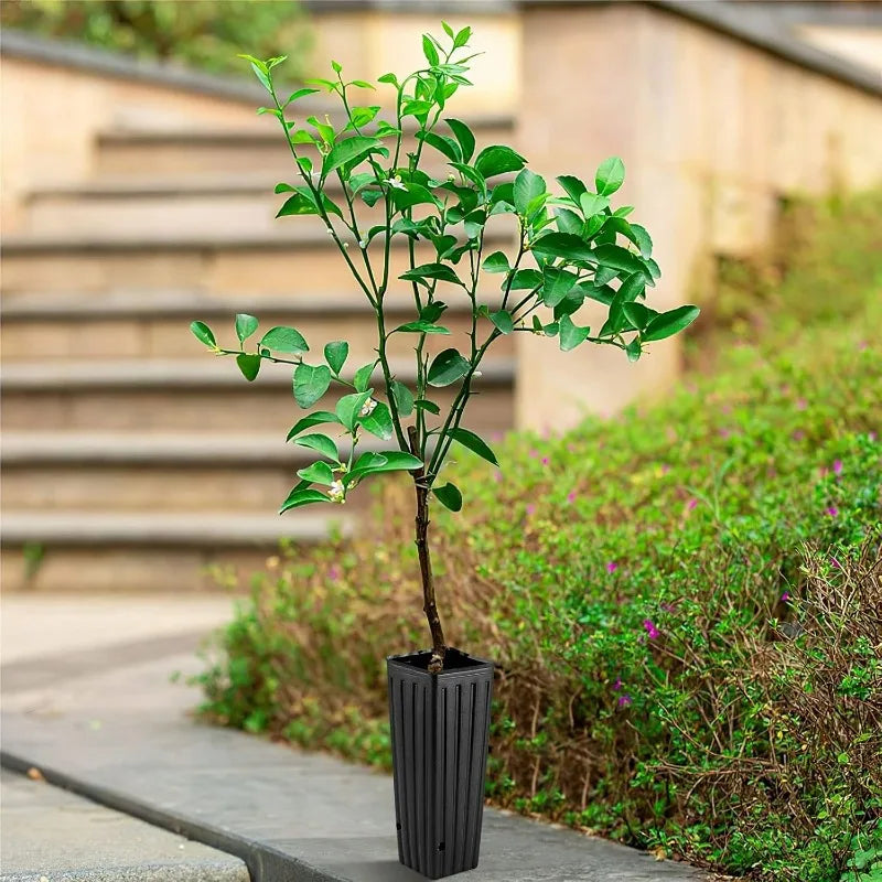 Black ribbed plastic nursery pot with drainage hole holding a young tree outdoors