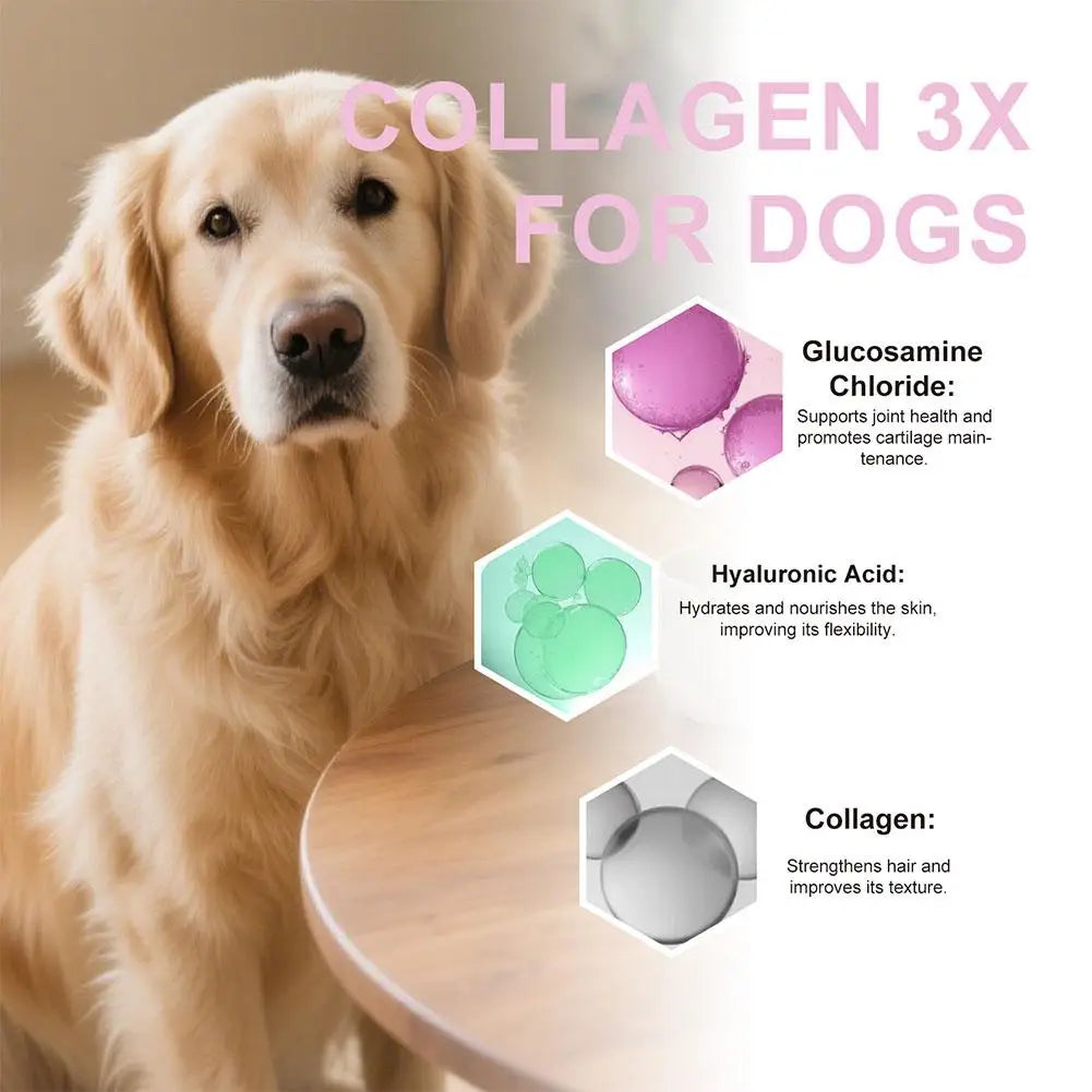 1/3/5-Piece Dog Collagen Drops Gentle Formula for Coat & Skin Care Main Dietary Supplement Dog Cleaning Supplies