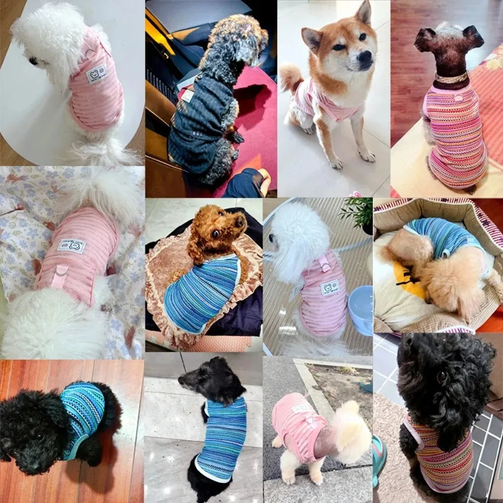 Breathable summer cooling vests for small dogs. Stylish striped pet shirts in pink and blue for Chihuahuas and poodles.