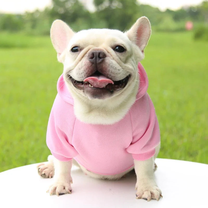French Bulldog wears a thick, pink hooded sweater to stay warm and cozy during autumn and winter.