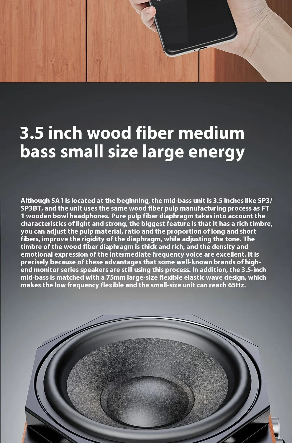 FiiO SA1 Active Speaker Desktop Bluetooth Speaker HIFI Sound Quality 31 Segment High-precision Lossless Customize PEQ LDAC APP