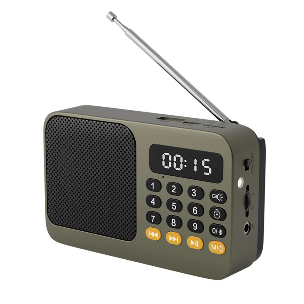 Gray portable Bluetooth FM radio speaker with antenna, front keypad and digital display