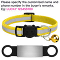 Reflective yellow cat collar with bell and custom engraved ID nameplate for anti-lost safety for kittens and puppies.