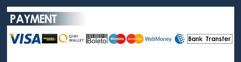 This image displays accepted payment methods including Visa, MasterCard, and others, not the lip gloss product.