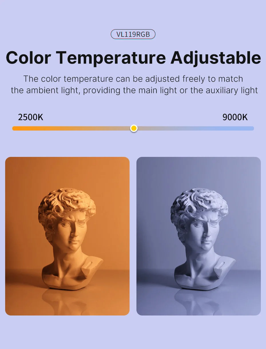 VL119RGB light showing a stone bust illuminated by warm 2500K and cool 9000K light for adjustable color temperature.