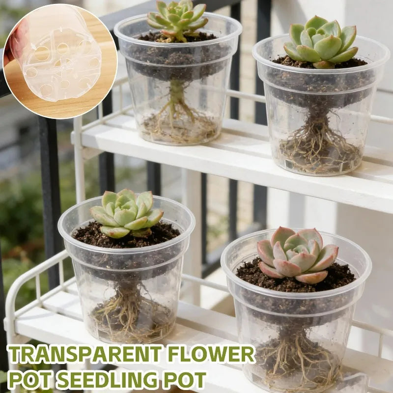 Clear nursery pots with succulents, inset detail highlights drainage hole pattern at base