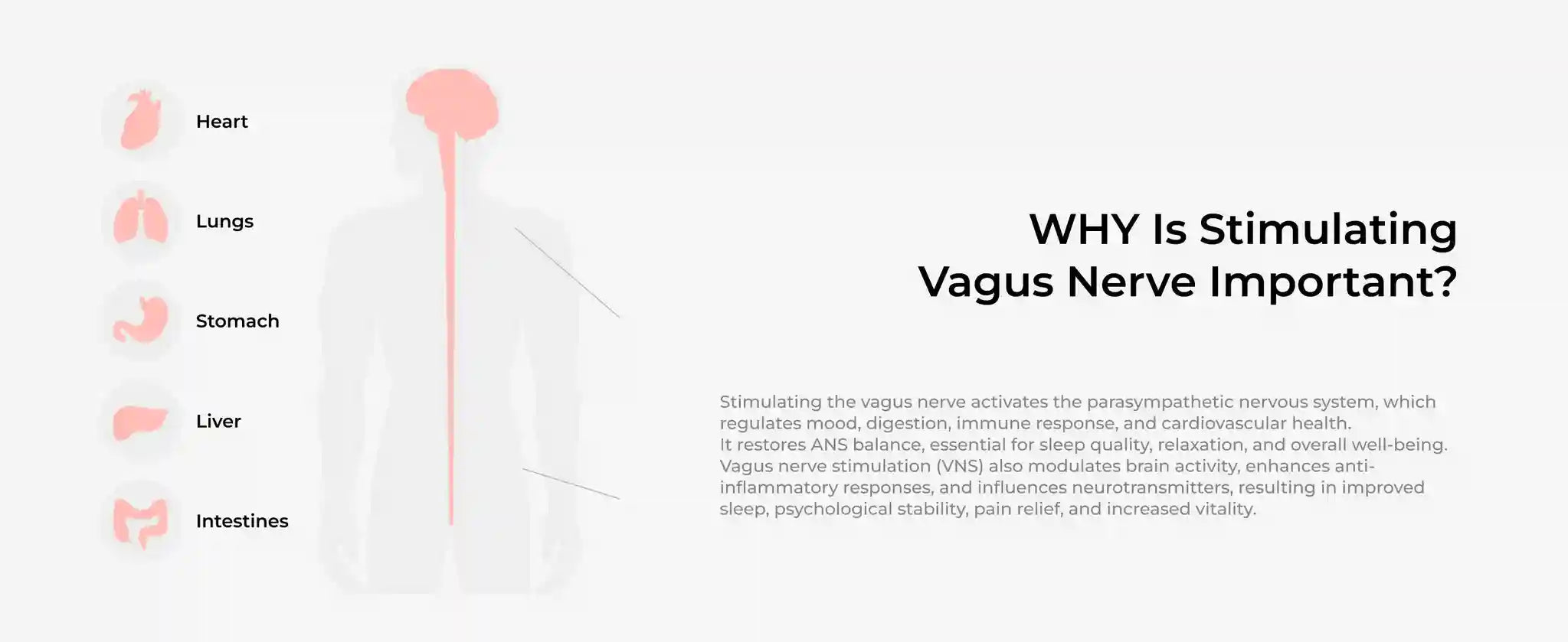 Vagus Nerve Stimulator for Sleep and Headache Relief - Tidesmit Back Massage Instrument Tidesmit