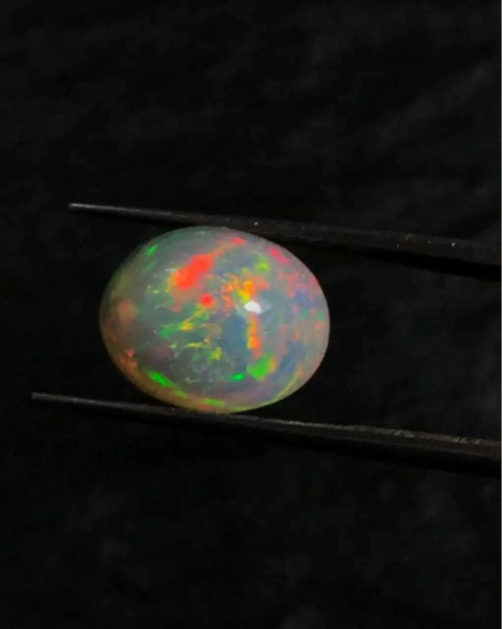 Oval opal cabochon with green and orange fire, held by metal tweezers.