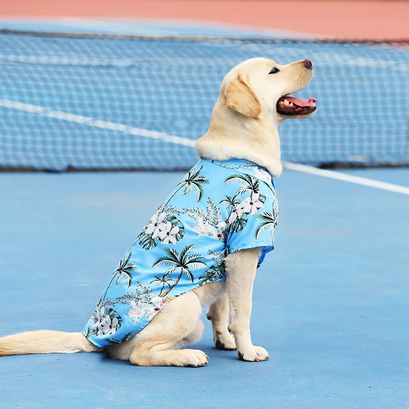 Labrador dog wearing a breathable blue Hawaiian floral pet shirt, perfect summer outfit for medium to large dogs.