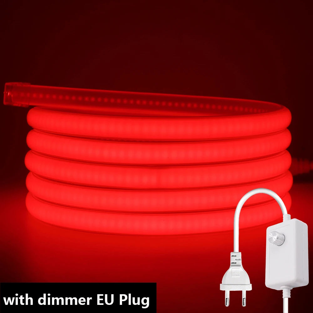 Dimmable LED neon strip with EU dimmer plug, red glowing flexible loops