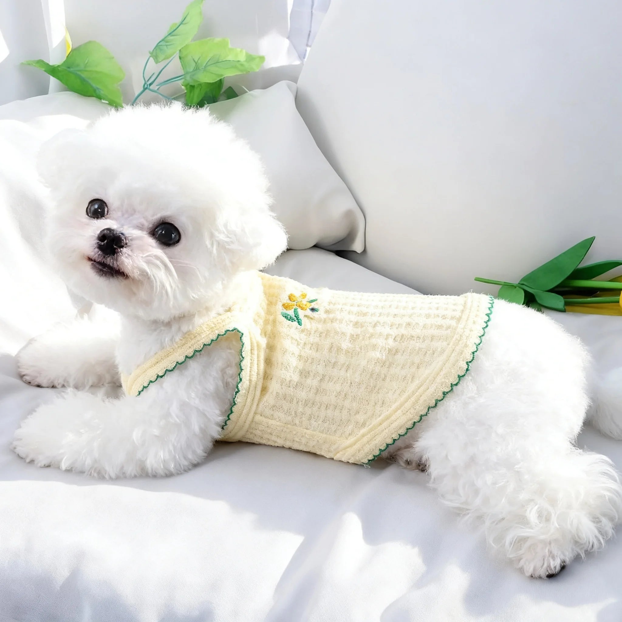 Cute Bichon Frise wearing a breathable yellow summer tank top for small dogs and cats. Soft pet apparel for comfort.