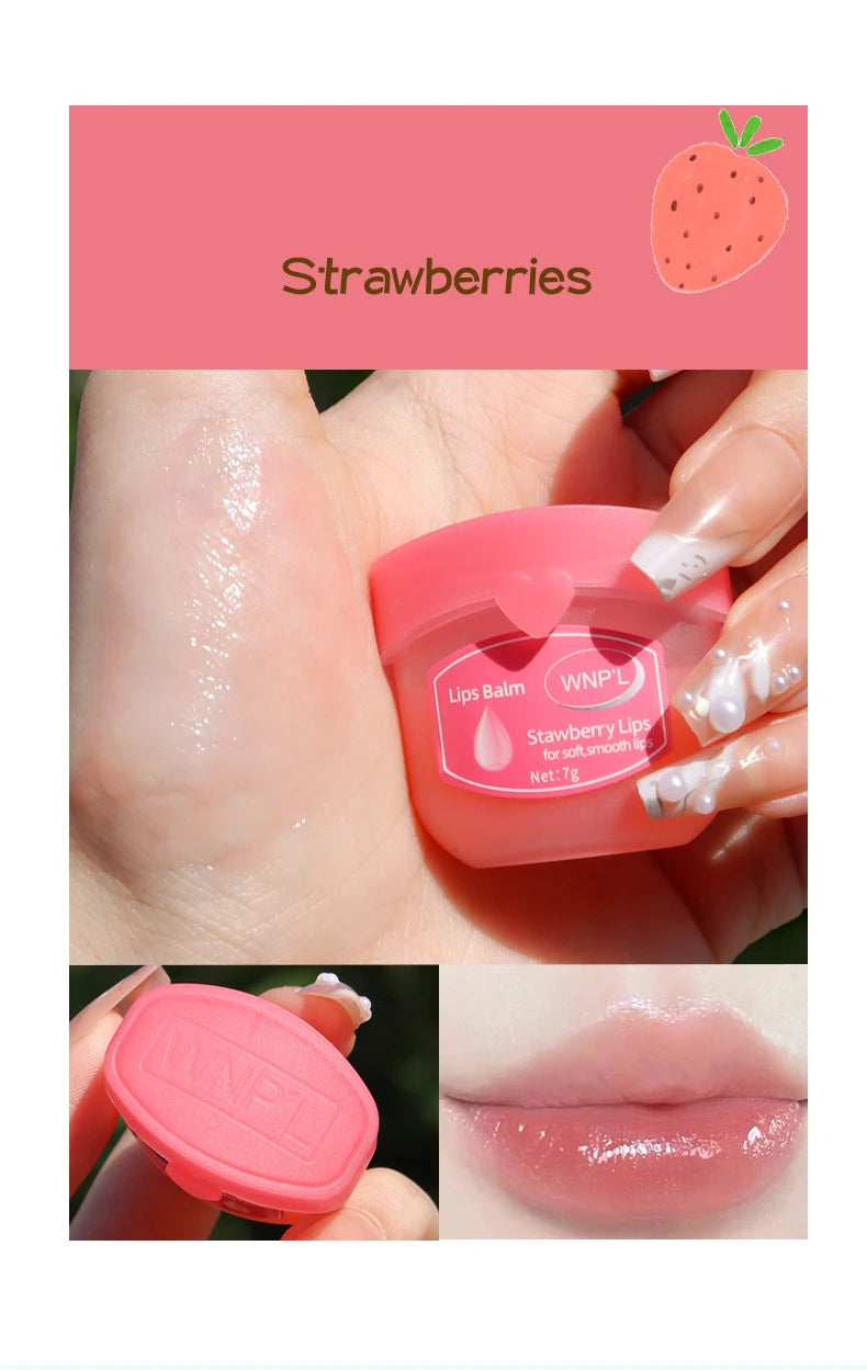 Moisturizing Lip Balm Set - Natural Plant-Based Lip Care (4-8pcs) Lip Care Tidesmit
