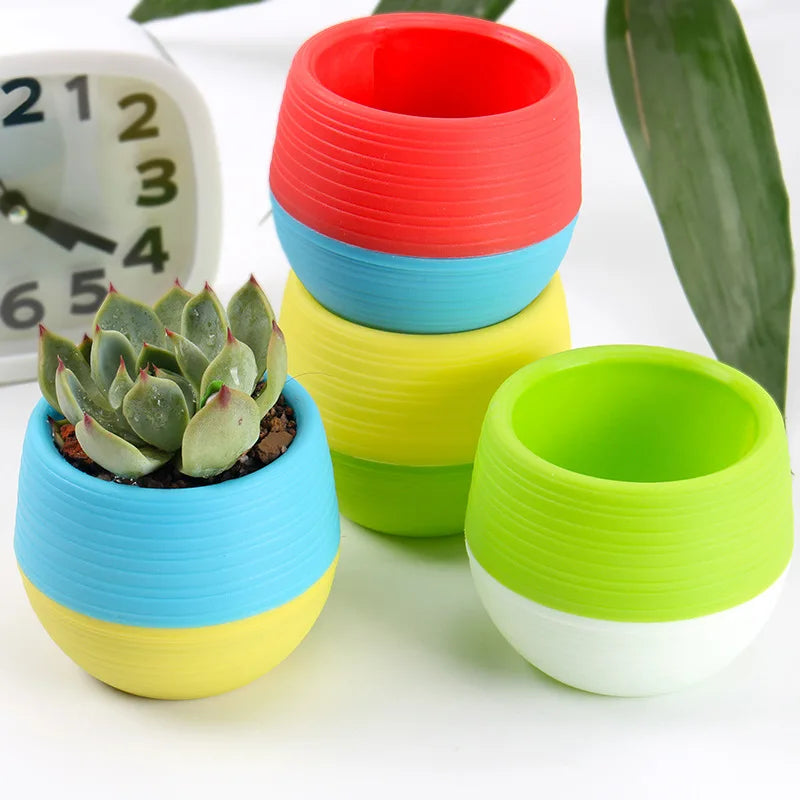 Mini plastic flower pots in red, blue, yellow, and green with small succulents inside