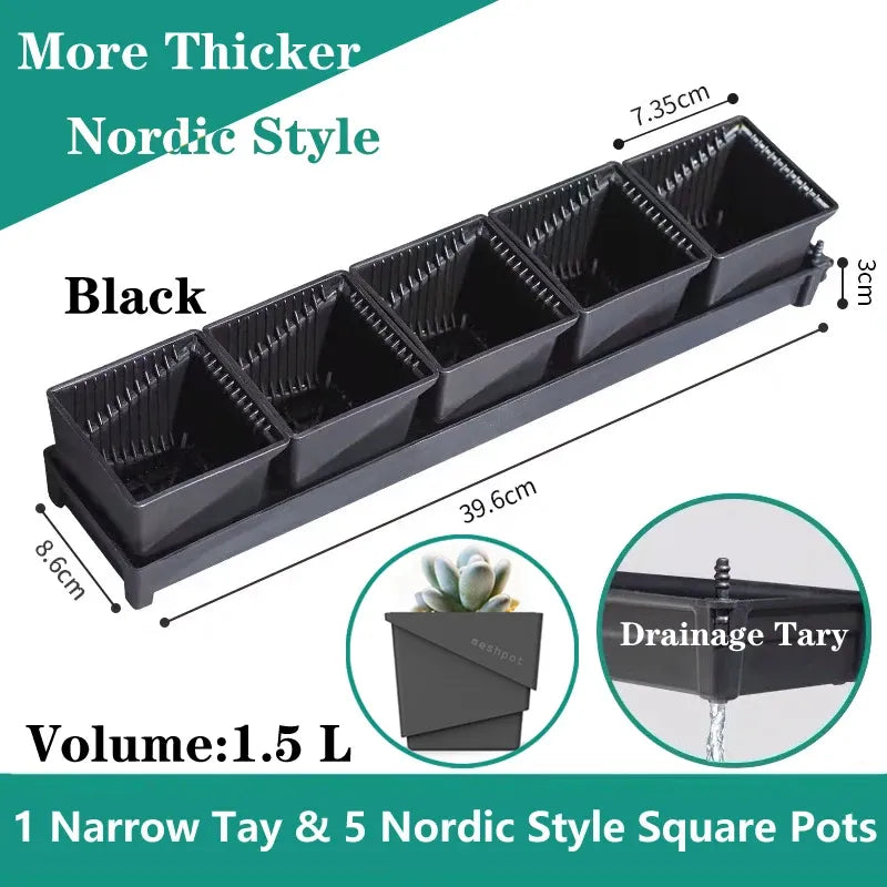 Black square drainage tray with five black square plant pots for succulents and seeds