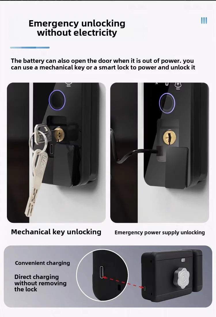 Outdoor Gate Waterproof Smart Tuya Wifi Lock 3D Face Recognition Digital Code Keyless App Remote Biometric Fingerprint Rim Lock