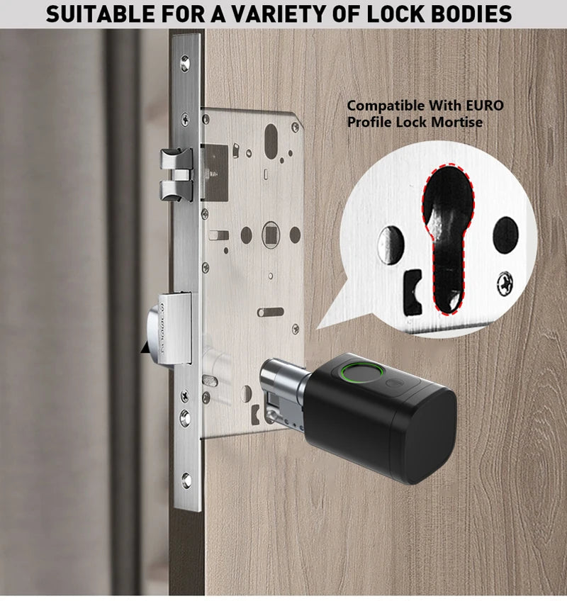 Support Tuya App Intelligent Plug-in Lock IP65 Biometric Fingerprint App Control Cylindrical Bolt Alex/Google Home/Office Door