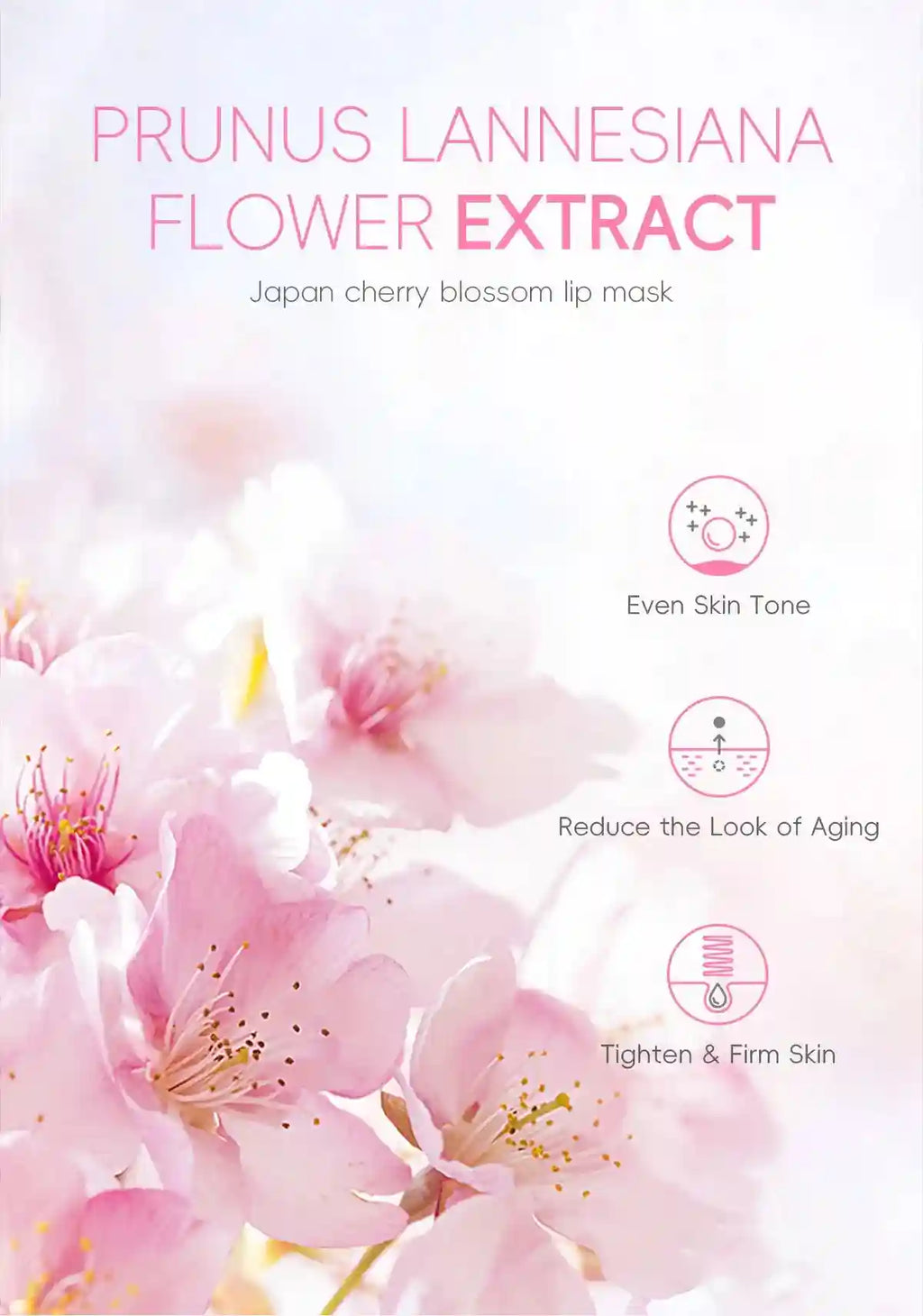 Sakura Lip Mask - Moisturizing Repair Treatment for Dry Lips 15g Lip Care Tidesmit