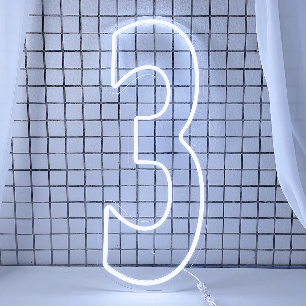 LED Neon Number Sign for Weddings | Customizable Event Lighting 76-100cm number 3 China Mainland Tidesmit