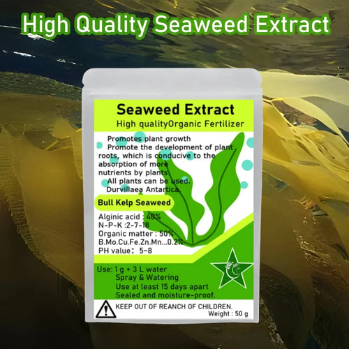 Note: This image features Bull Kelp seaweed fertilizer, not a mushroom adaptogen product.

Alt text: 50g pouch of organic Bull Kelp seaweed extract fertilizer, a natural plant growth booster for garden health.