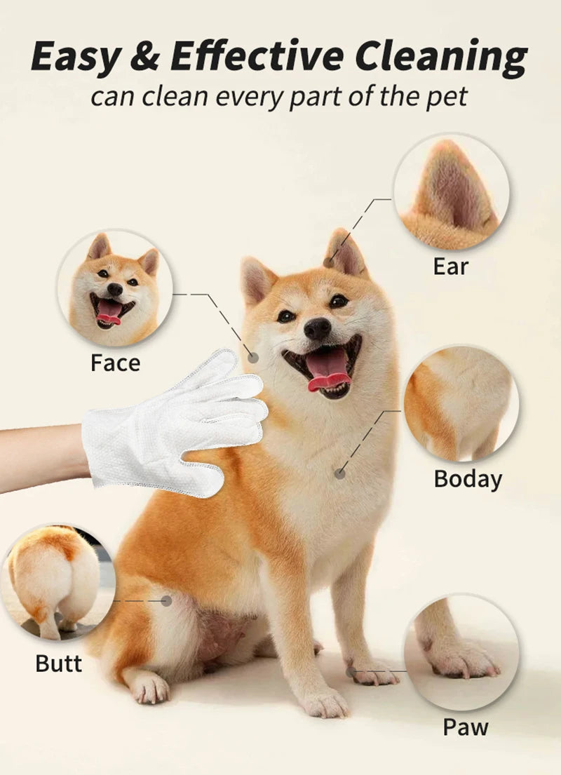Disposable pet wash-free gloves cleaning a Shiba Inu dog. Gentle, deodorizing wipes for easy face, paw, and body care.