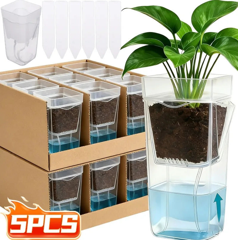 Clear double-layer self-watering planter container with soil and water reservoir