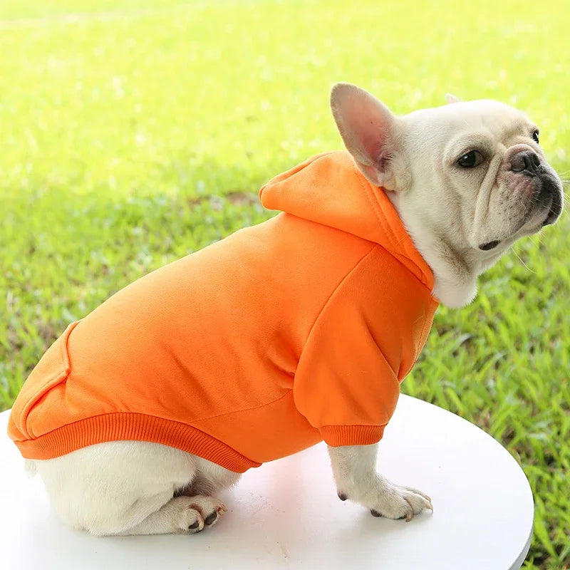 French Bulldog wearing a warm, orange hooded sweater for small dogs, perfect for cozy autumn and winter outdoor wear.