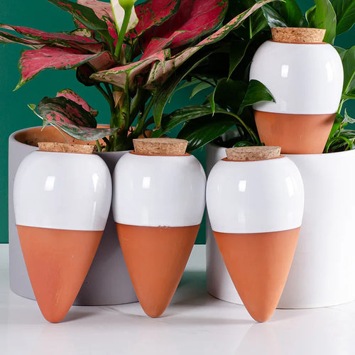 Ceramic self-watering plant spikes, white tops with terracotta bottoms and cork plugs (4-pack)