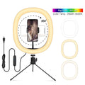 10 Inch LED Ring Light with Tripod for Content Creation - Tidesmit back-1 Tidesmit