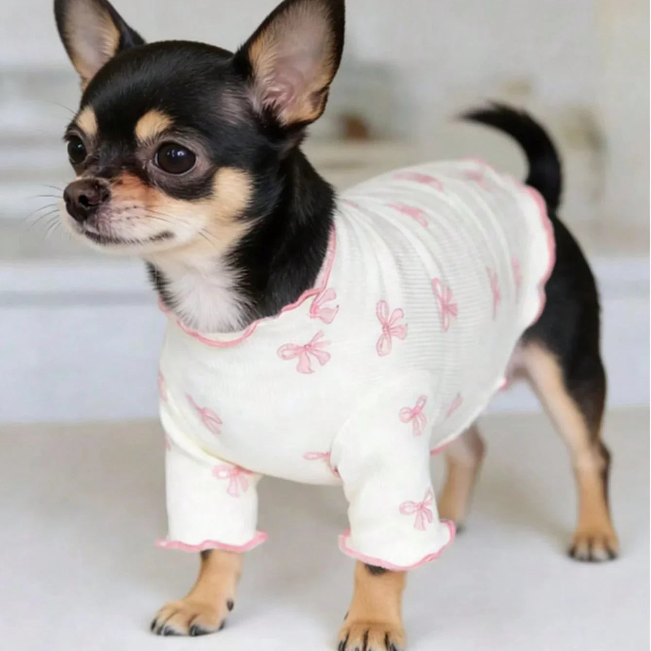 Small dog wearing a breathable, stretchy white knit shirt with a cute pink bow tie print for comfortable pet fashion.