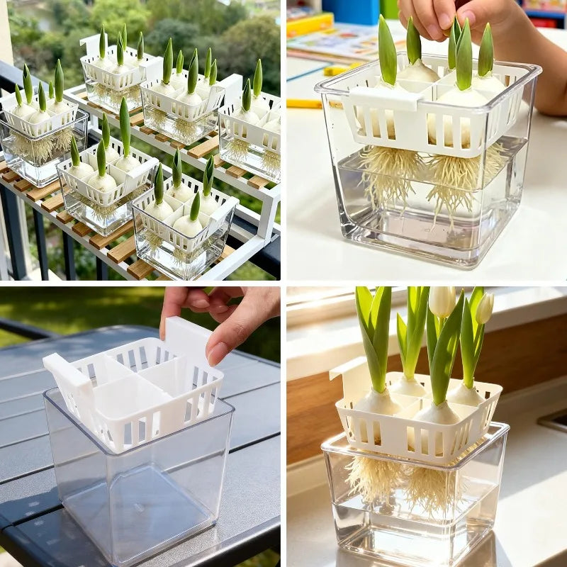 Hydroponic Planter Tulip Bulb Planter 4-cell Hydroponic Flower Pot with Reservoir Indoor Gardening Pot Drainage System for Home