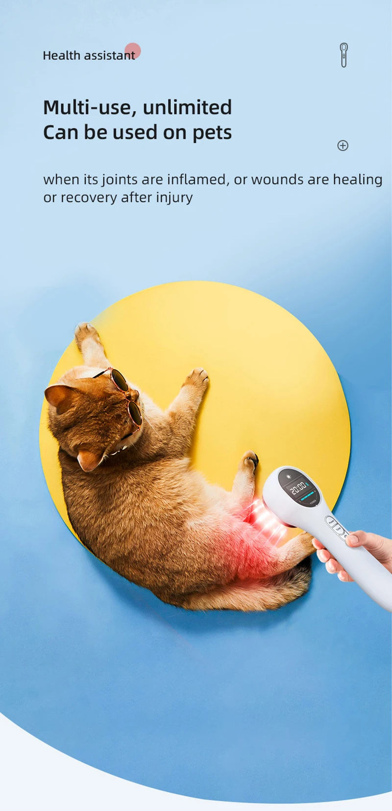 Hand-held cold laser therapy device using red infrared light for pain relief on a pet cat's leg on a blue background.