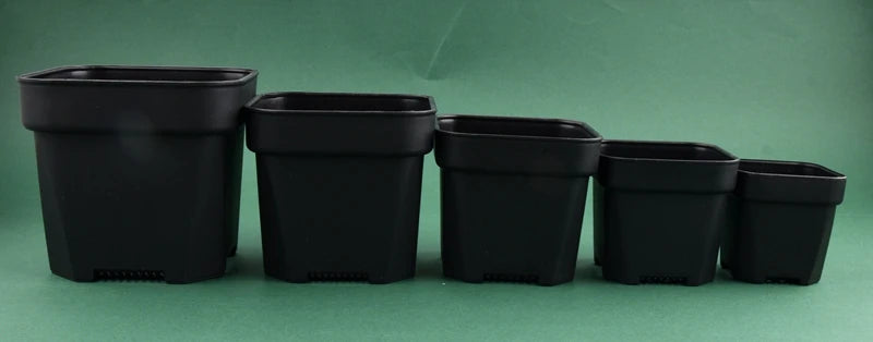 Multiple black square plant pots lined up with thick walls and open tops
