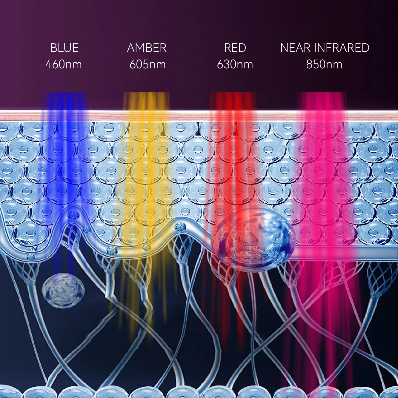 An illustration showing blue, amber, red, and near-infrared light wavelengths penetrating various layers of human skin.