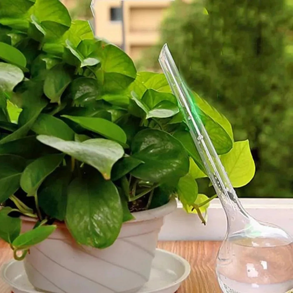 Transparent watering bulb spike inserted beside leafy potted plant