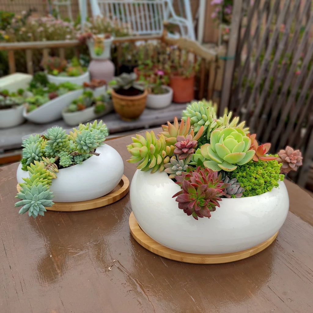 Oval Ceramic Succulent Pot Garden Supplies Balcony Flowerpot Plant Pot Garden Pots Planters Landscaping Potted Plant Flower Pots