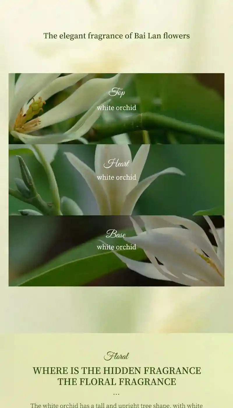 GECOMO Valley White Rose EDP 50ml: Long-lasting floral women’s perfume with elegant white orchid notes. Luxury gift.