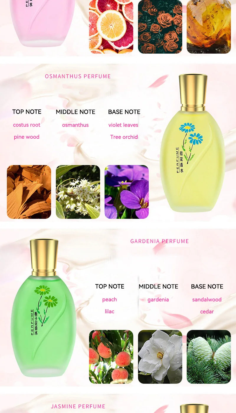 Women’s Osmanthus & Gardenia EDP 50ml perfume set. Oval glass bottle, floral fragrance notes, long-lasting daily scent.