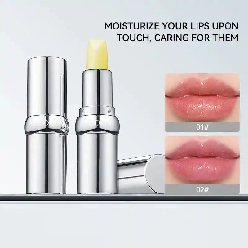 Moisturizing Lip Balm Tinted Treatment by Tidesmit - 01/02 Options Lip Care Tidesmit