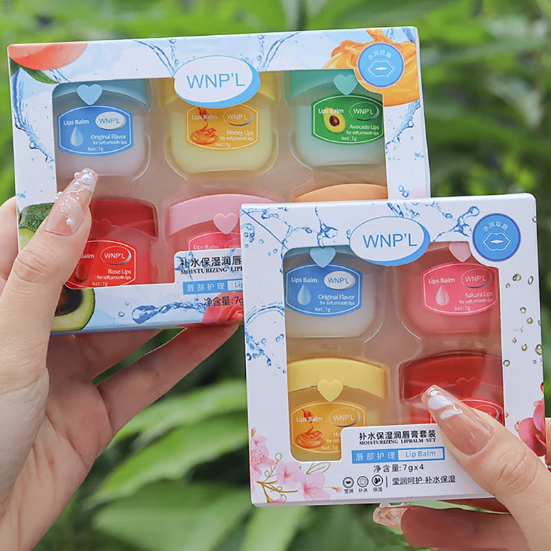 Moisturizing Lip Balm Set - Natural Plant-Based Lip Care (4-8pcs) Lip Care 4pcs Tidesmit