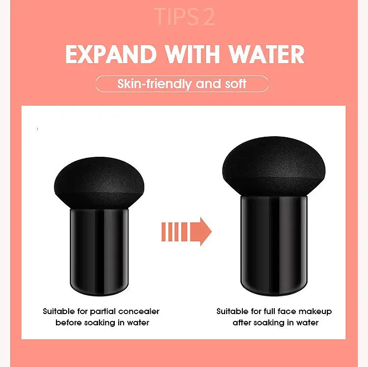 Tidesmit HANRU mushroom air cushion BB cream providing moisturizing coverage for a radiant clear complexion