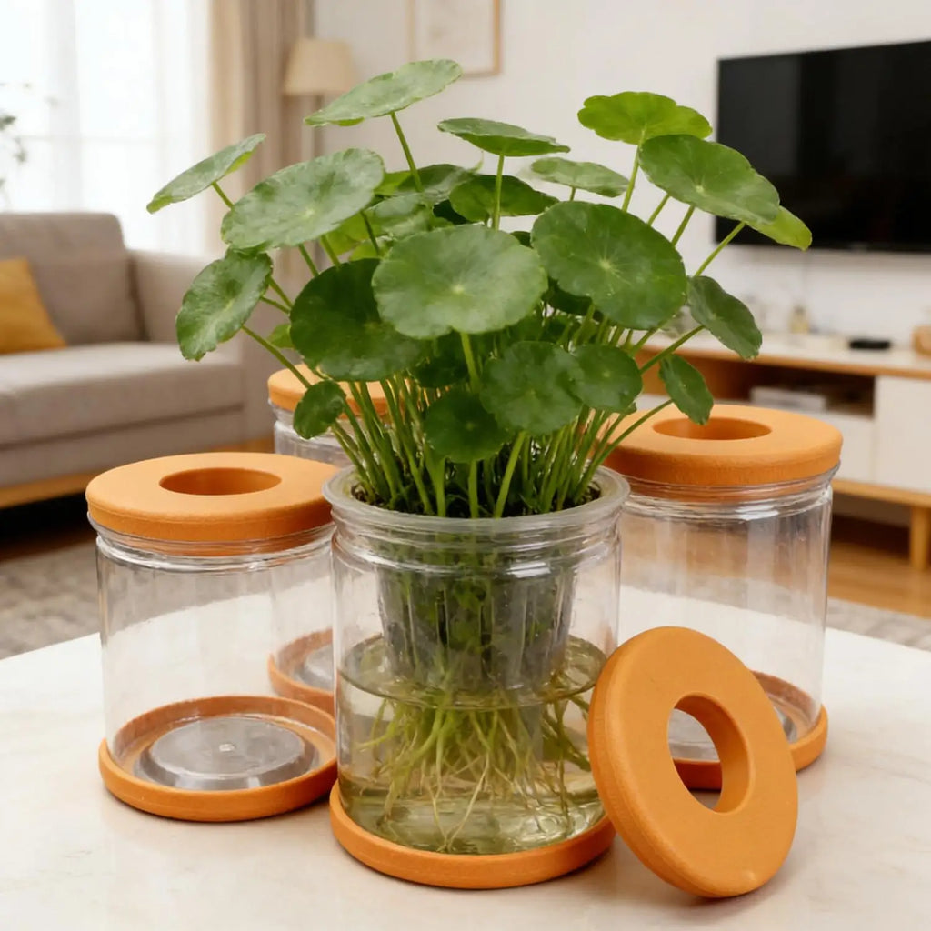 5/1PCS Transparent Hydroponic Flowerpot Hydroponic Plant Container with Soft Stopper Non Slip Bottom Home Office Gardening Pots